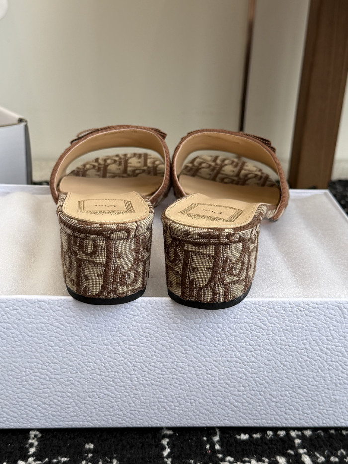 D10r SLIDES DS-0147