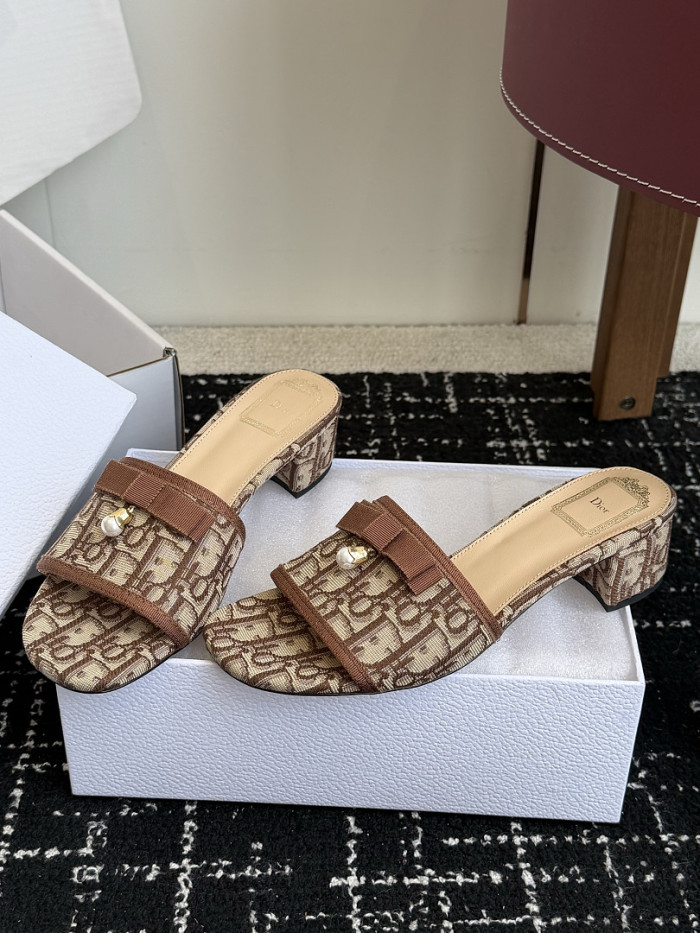 D10r SLIDES DS-0147