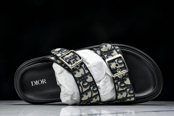 D10r slides ds-056