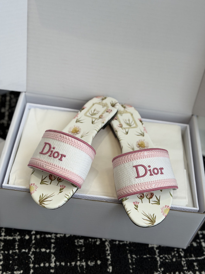 D10r SLIDES DS-0126
