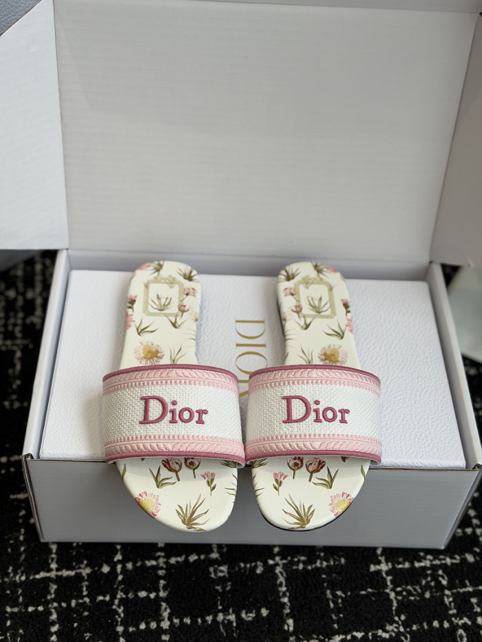 D10r SLIDES DS-0126