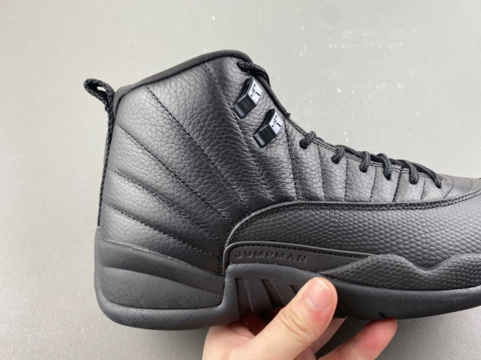 Air Jordan 12 Retro CT8013-010