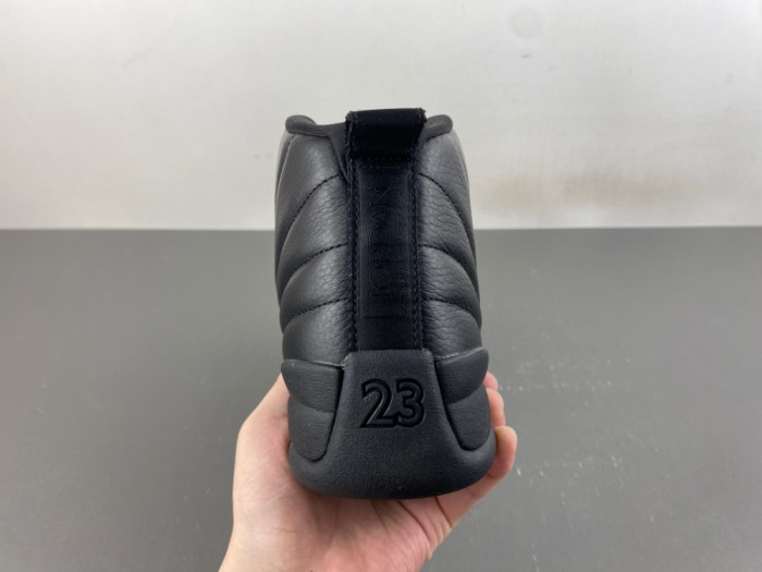 Air Jordan 12 Retro CT8013-010