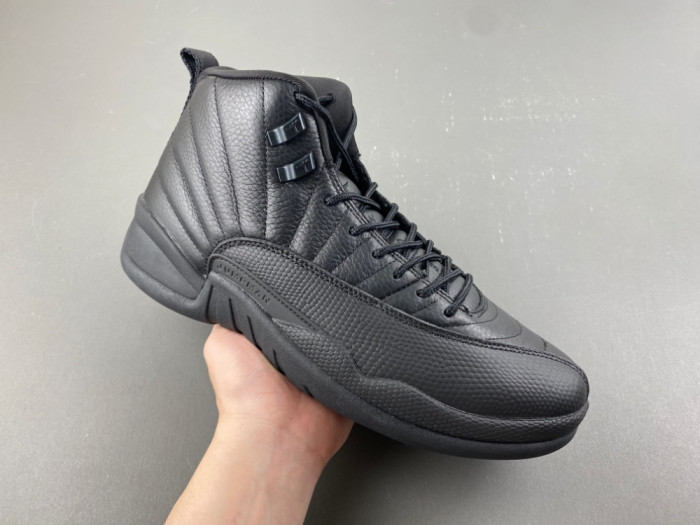 Air Jordan 12 Retro CT8013-010
