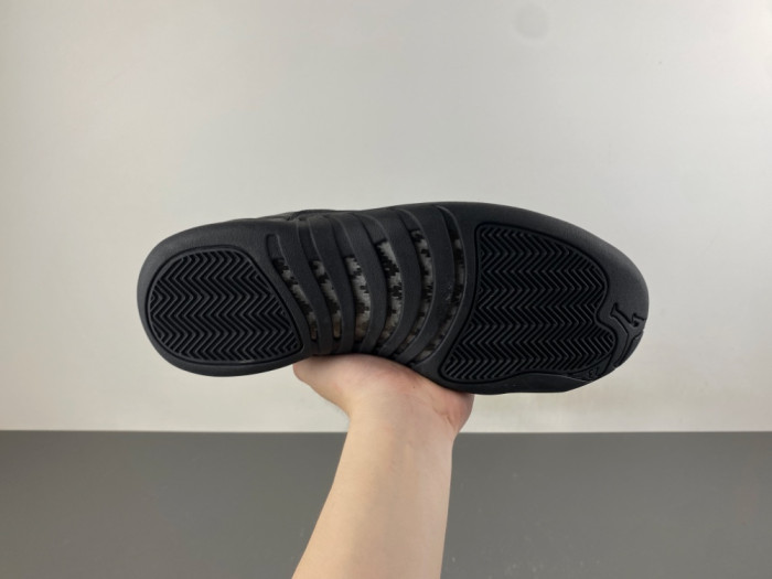 Air Jordan 12 Retro CT8013-010