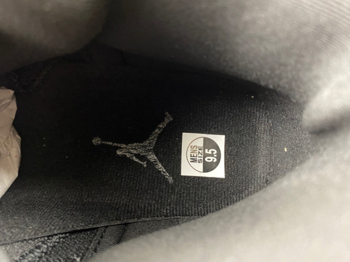 Air Jordan 12 Retro CT8013-010