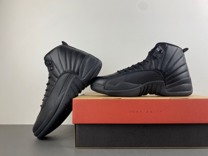 Air Jordan 12 Retro CT8013-010