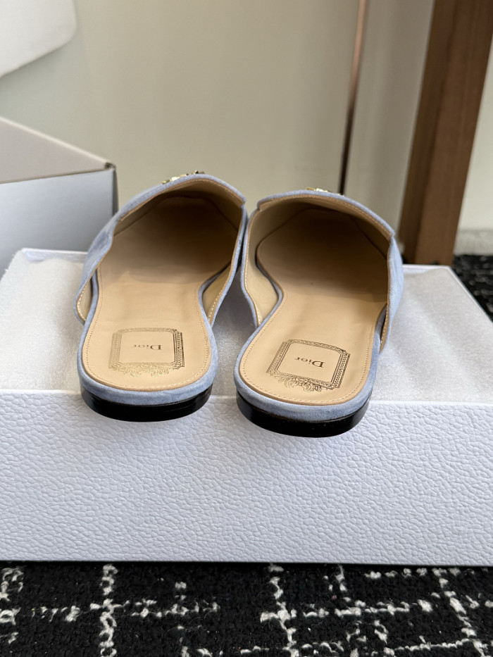 D10r SLIDES DS-0138