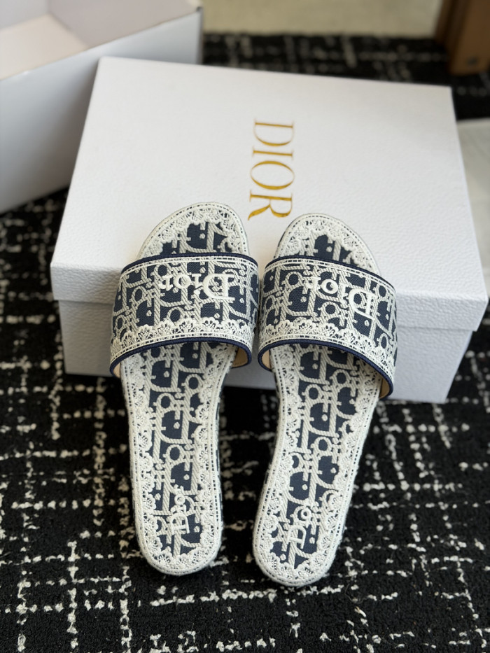 D10r SLIDES DS-0106
