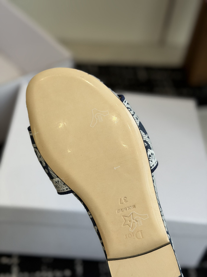 D10r SLIDES DS-0106