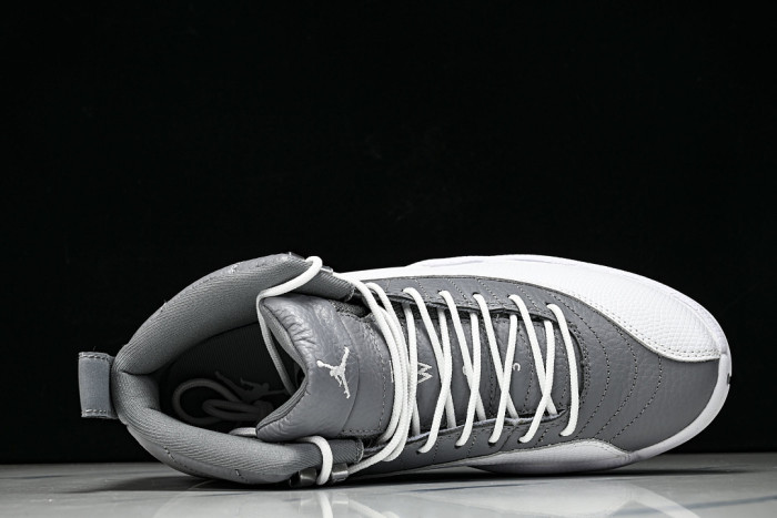 Air Jordan 12 Retro "stealth" CT8013-015