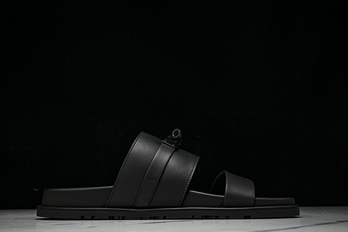D10r SLIDES DS-098