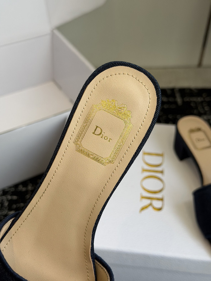D10r SLIDES DS-0107