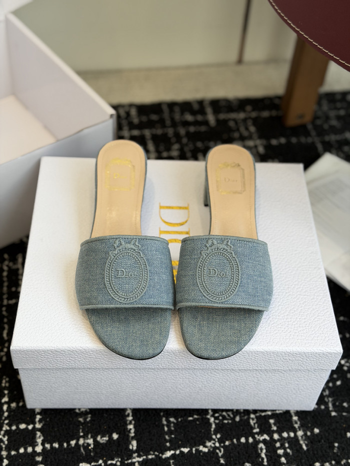 D10r SLIDES DS-0109