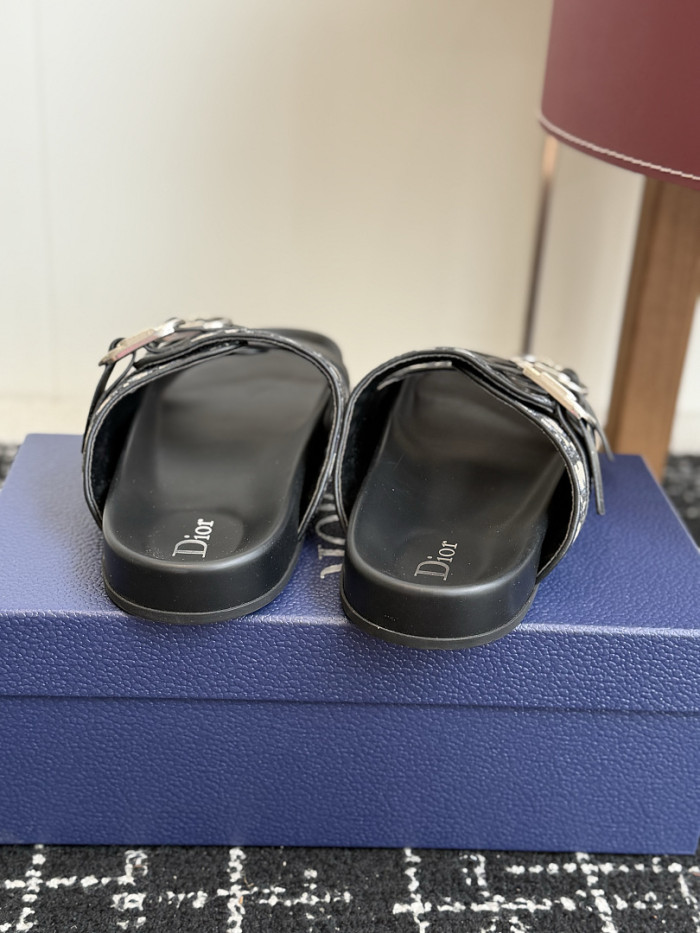 D10r SLIDES DS-0155