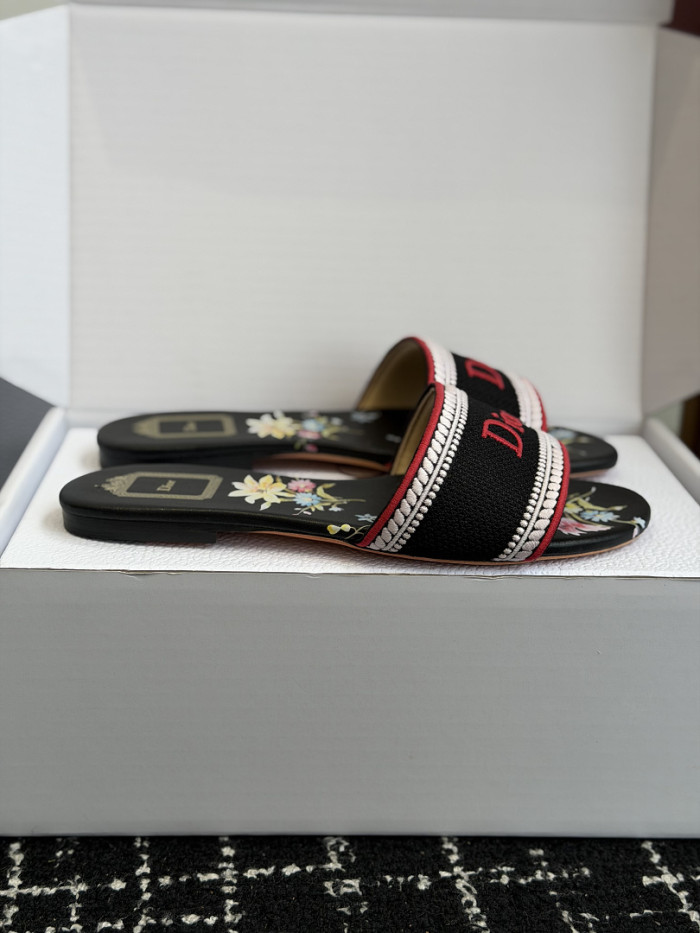 D10r SLIDES DS-0128