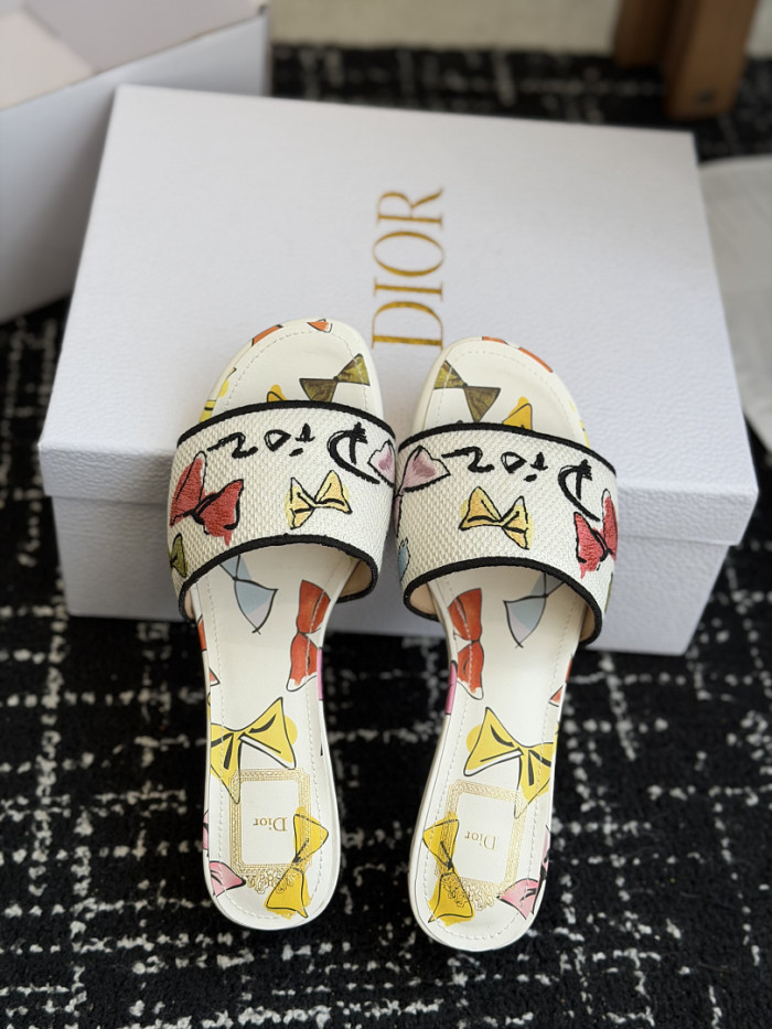 D10r SLIDES DS-0114