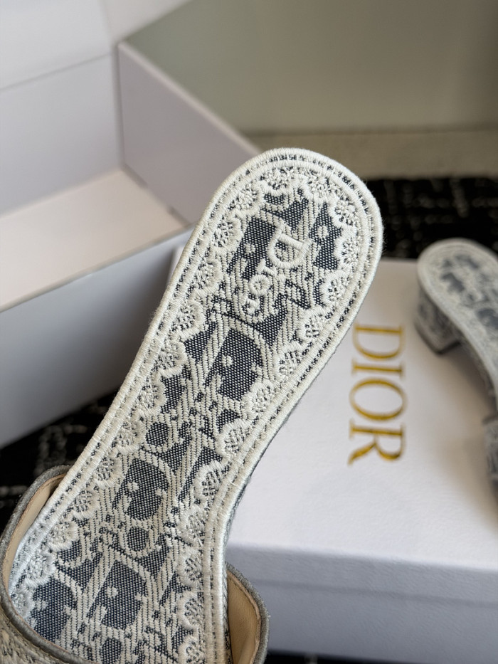 D10r SLIDES DS-0102