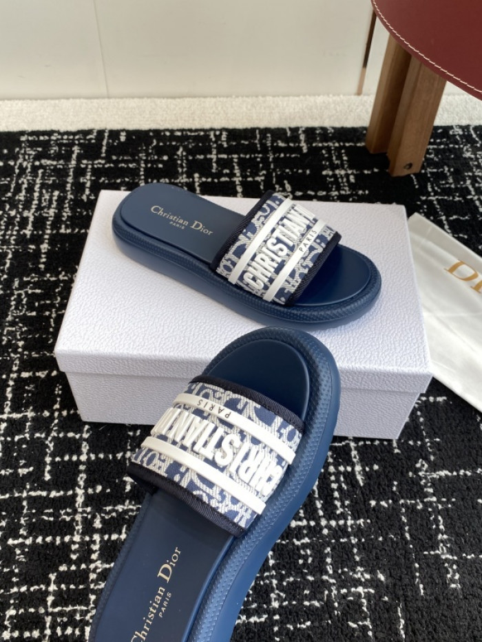 D10r slides ds-087