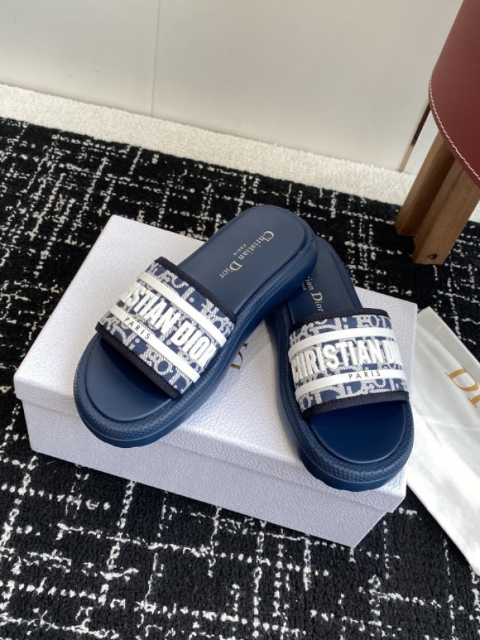 D10r slides ds-087