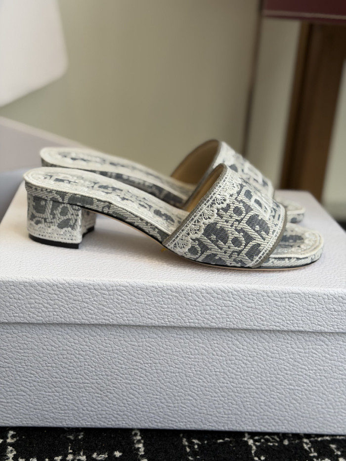 D10r SLIDES DS-0102
