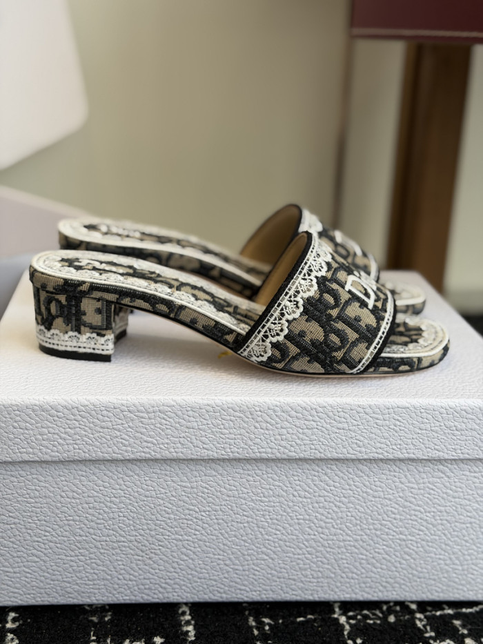 D10r SLIDES DS-0101