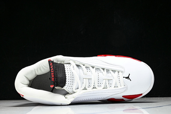 Air Jordan 14 487471-100