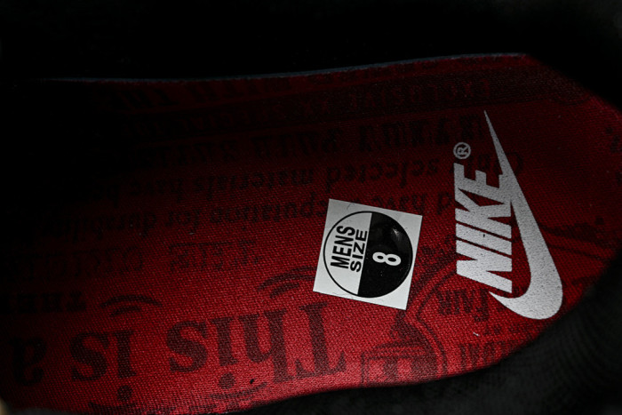 Air Max 95 x Levi