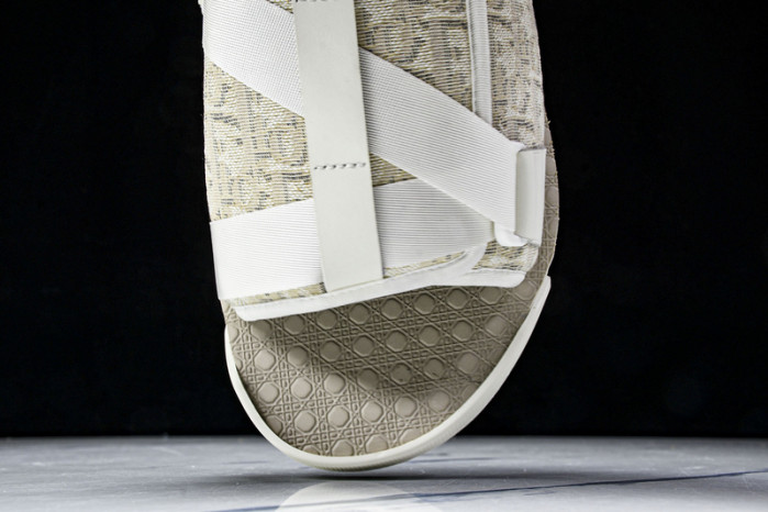 D10r slides ds-062