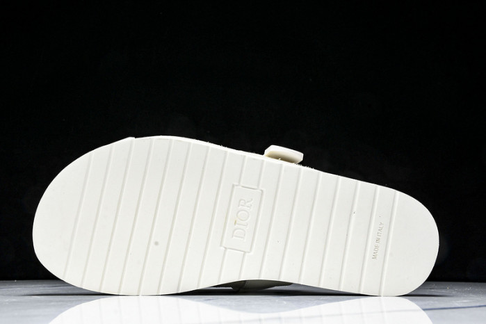 D10r slides ds-062