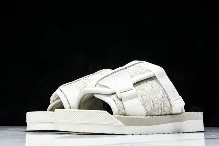 D10r slides ds-062
