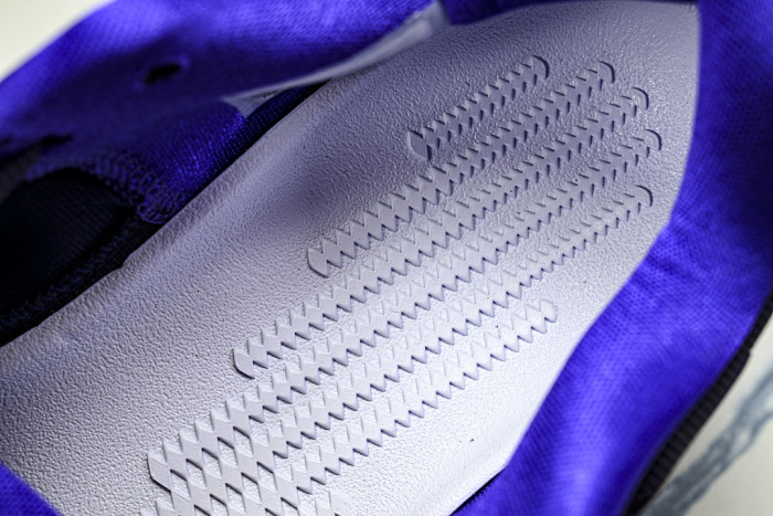 Nike Kobe 9 EM Protro “Purple Dynasty” IH1401-500
