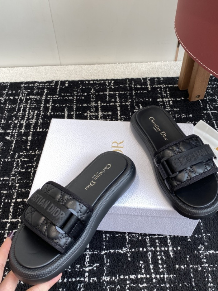 D10r slides ds-090