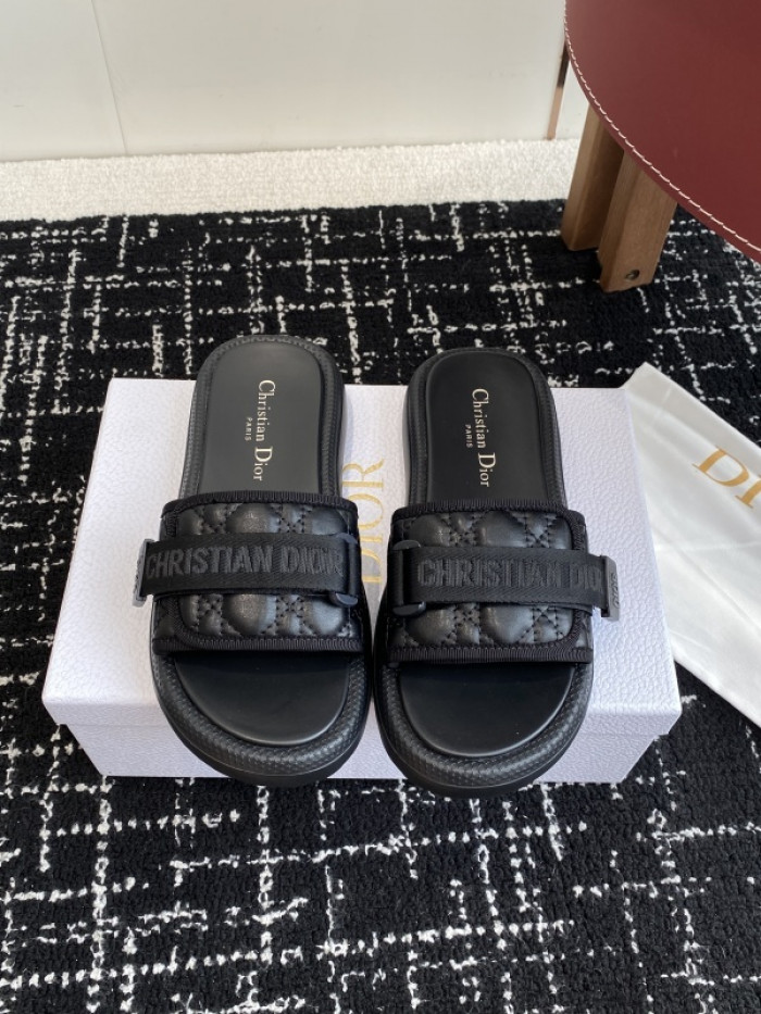 D10r slides ds-090