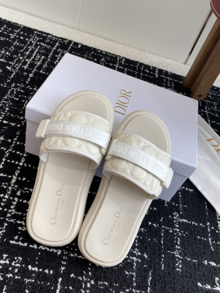 D10r slides ds-089