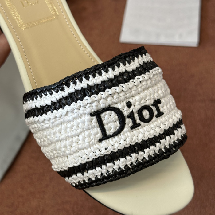 D10r SLIDES DS-0129