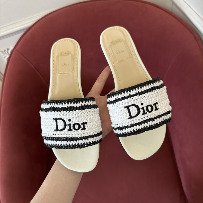 D10r SLIDES DS-0129