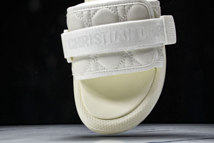 D10r slides ds-079