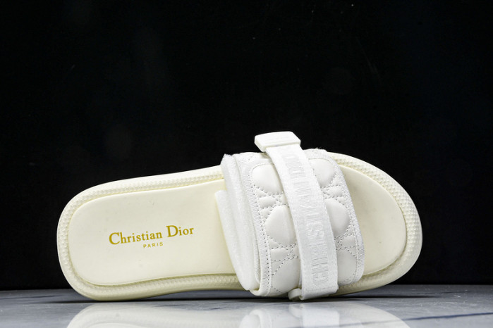 D10r slides ds-079