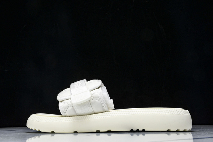 D10r slides ds-079