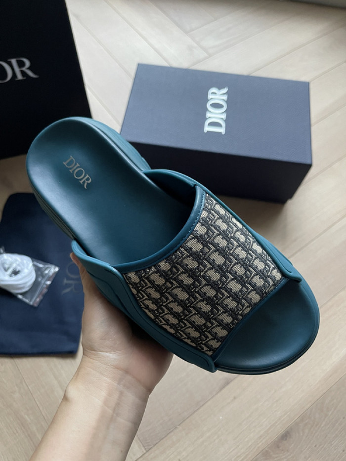 D10r slides ds-047