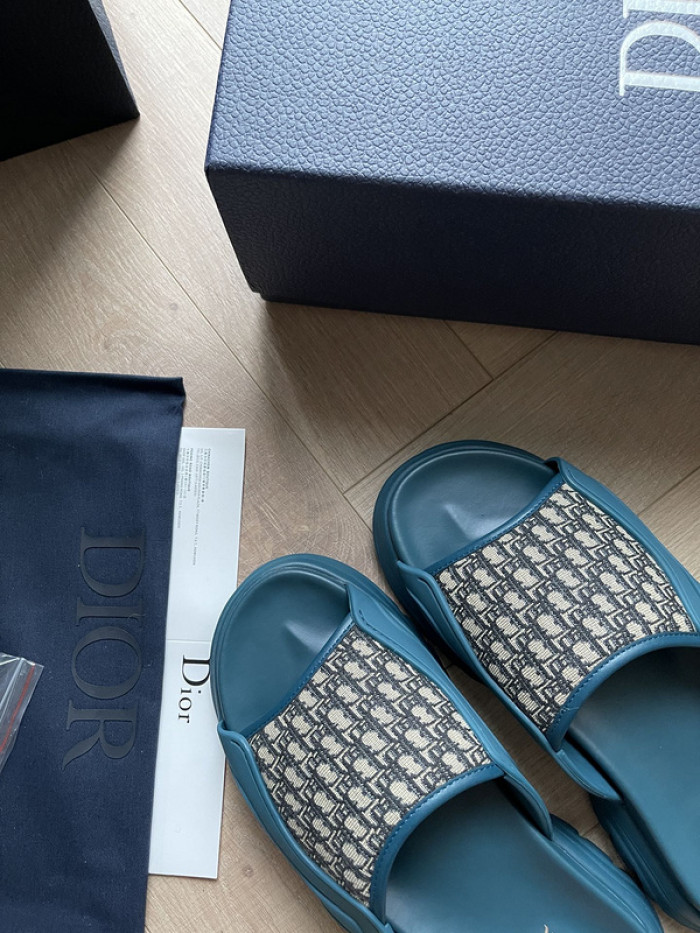 D10r slides ds-047