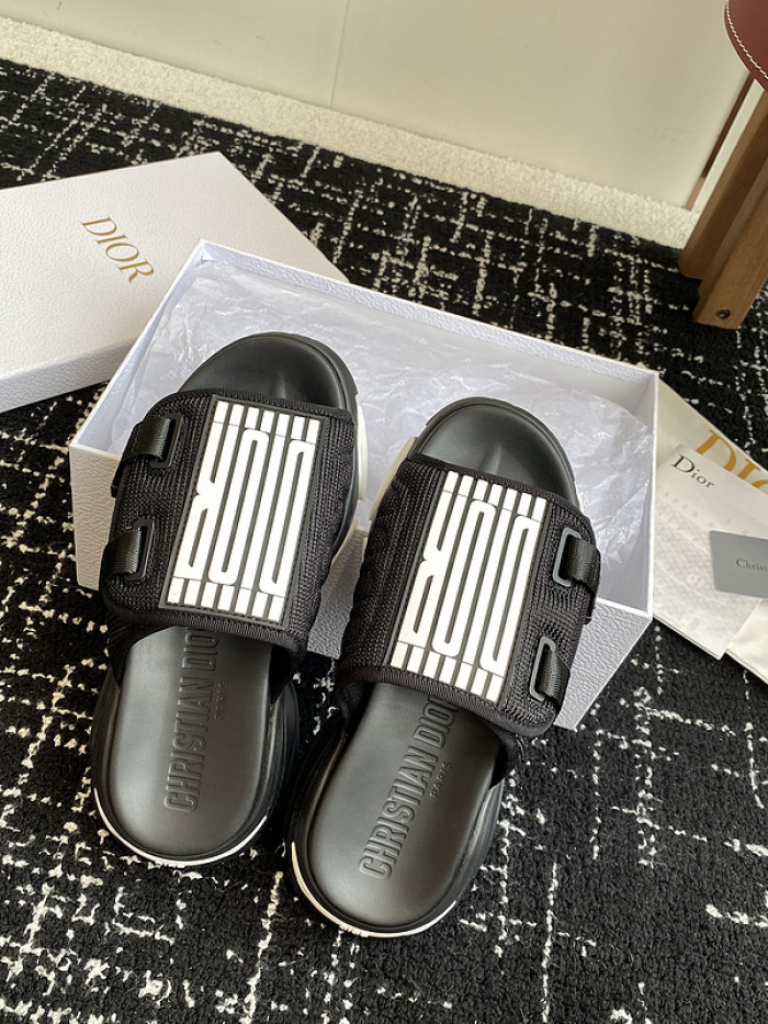 D10r slides ds-068