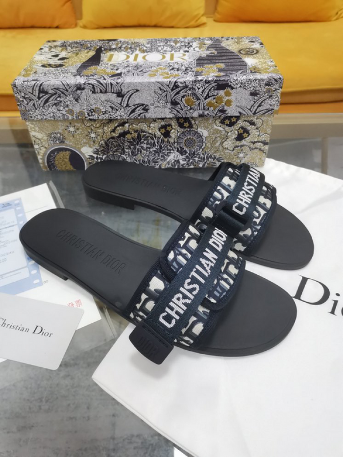 D10r slides ds-031