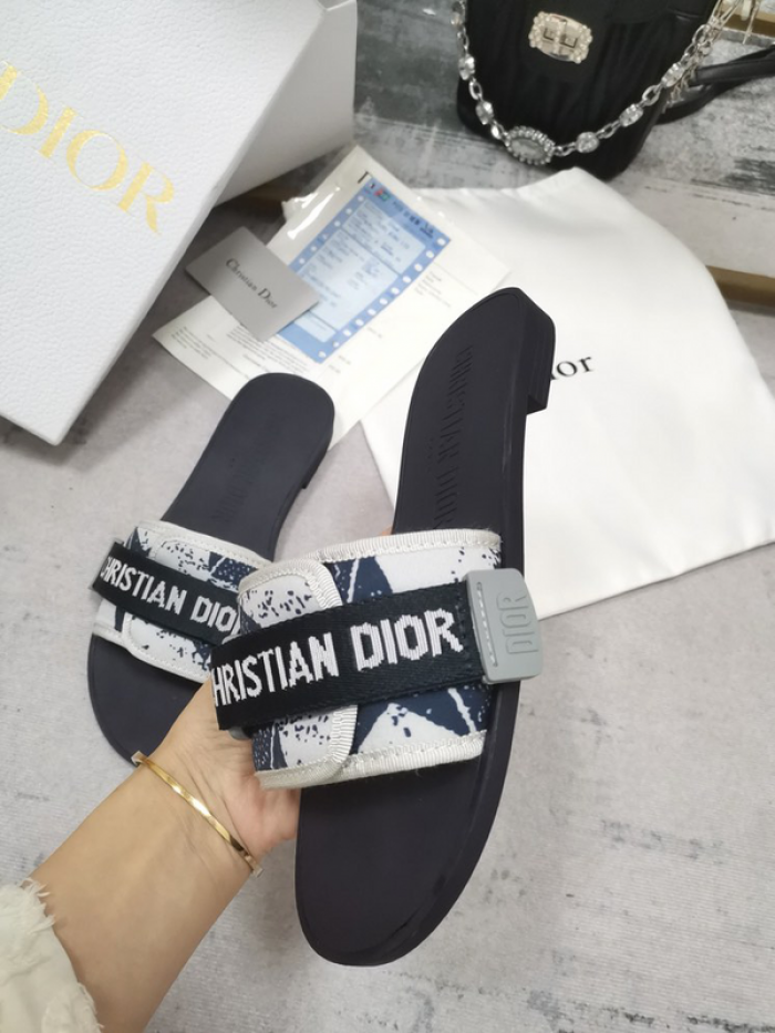 D10r slides ds-029