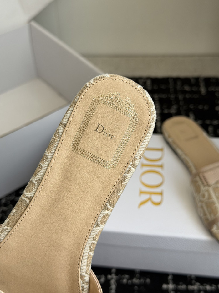 D10r SLIDES DS-0145