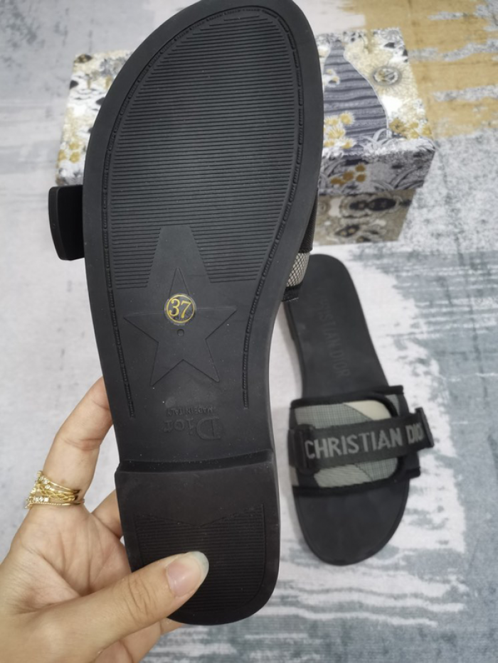 D10r slides ds-041