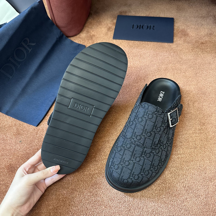 D10r SLIDES DS-0161