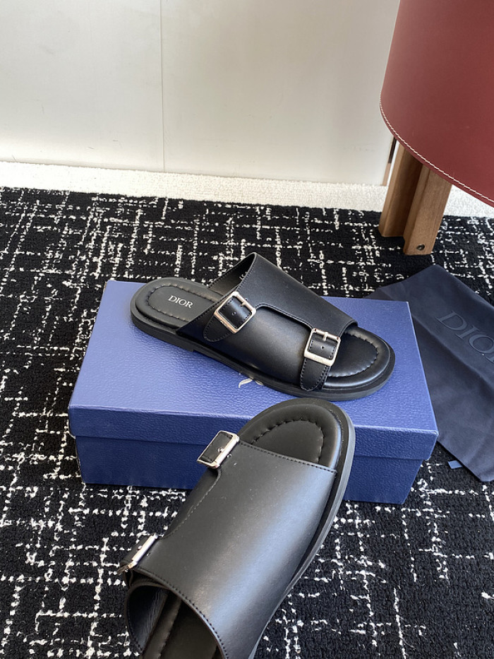 D10r slides ds-075