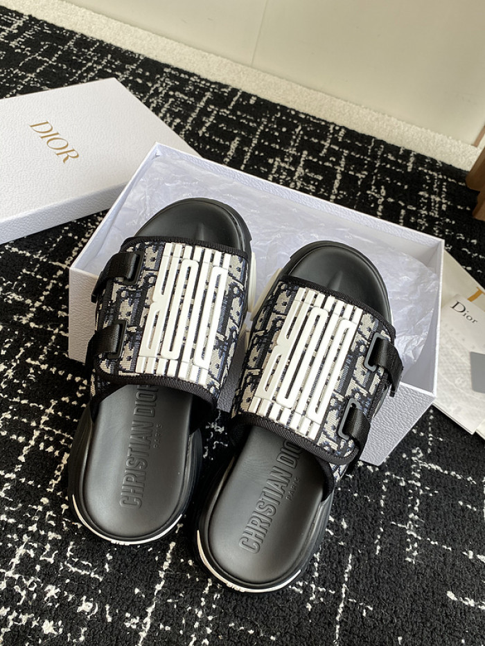 D10r slides ds-070